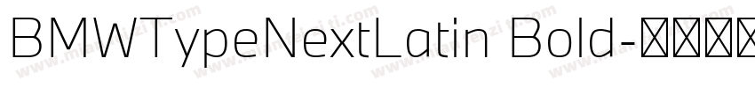 BMWTypeNextLatin Bold字体转换